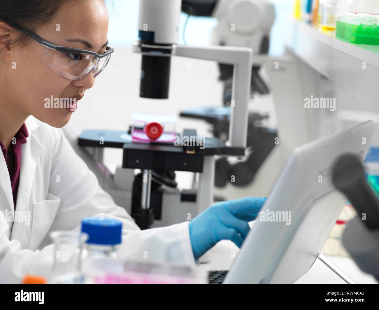 Scientist viewing results on computer during experiment in laboratory Stock Photo