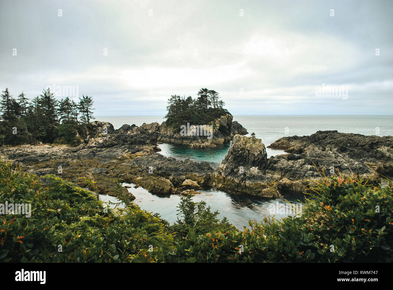 Coastline in Ucluelet, BC. Stock Photo