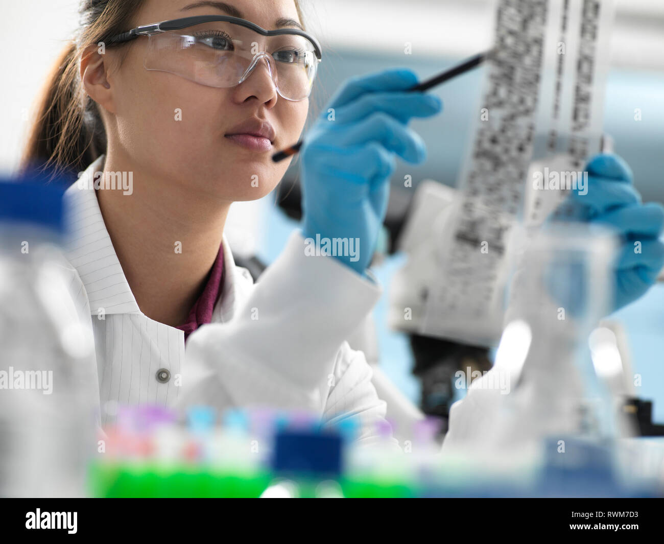 Scientist viewing results of genetic test on DNA autoradiogram in laboratory Stock Photo