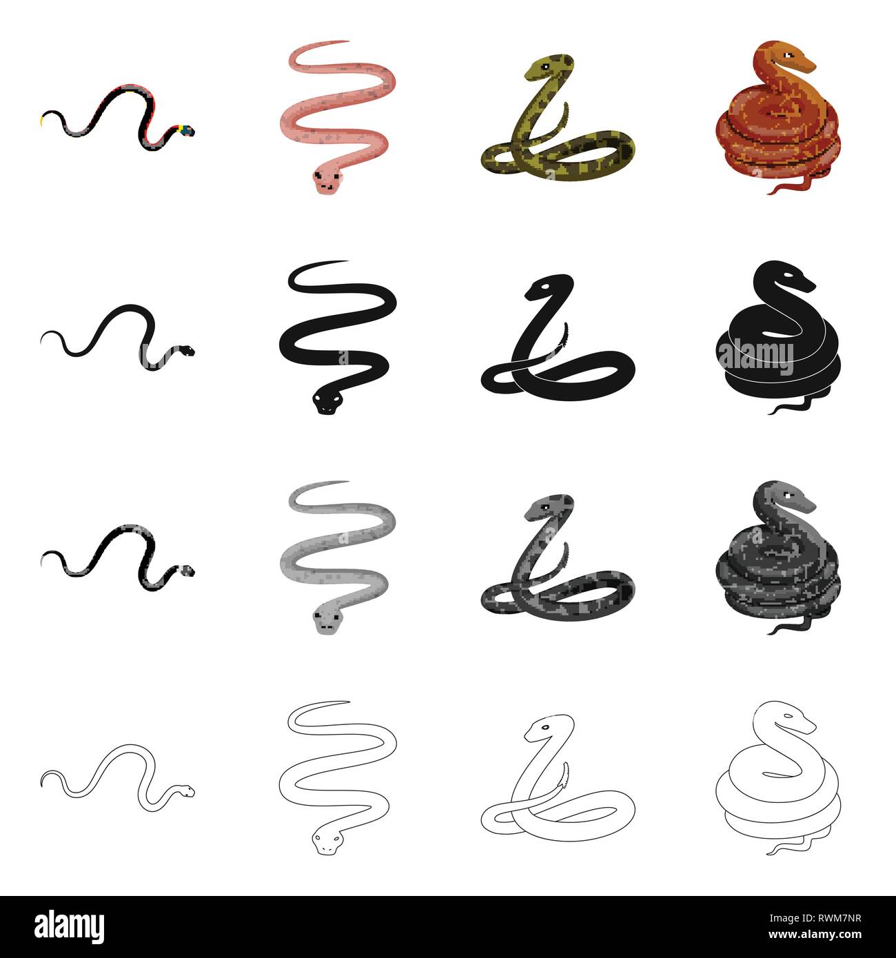 animal,snake,cobra,tail,python,pink,spiral,black,forest,tropics,leather ...