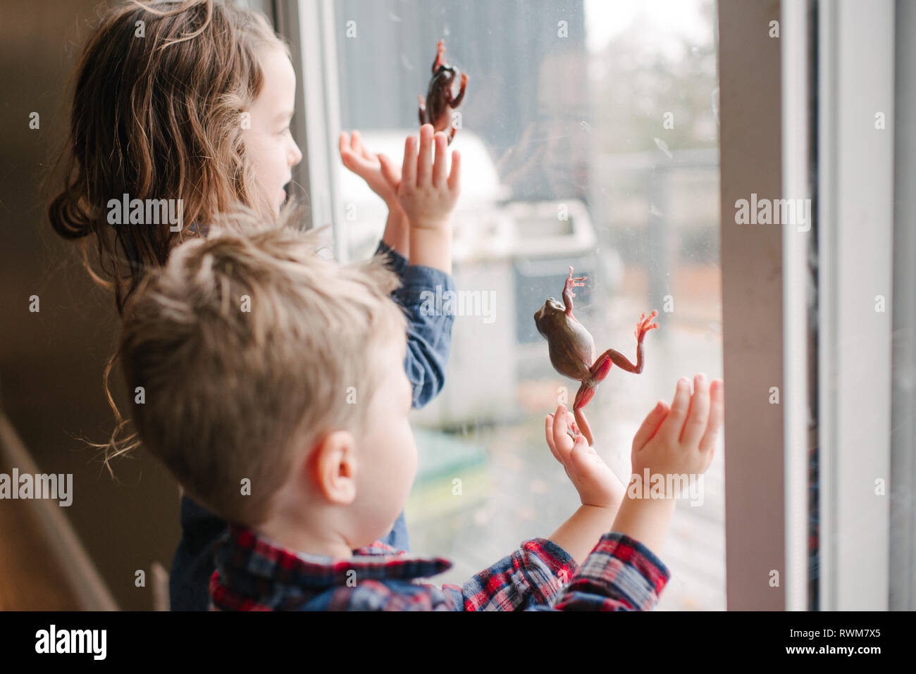 Children playing with frogs on window Stock Photo