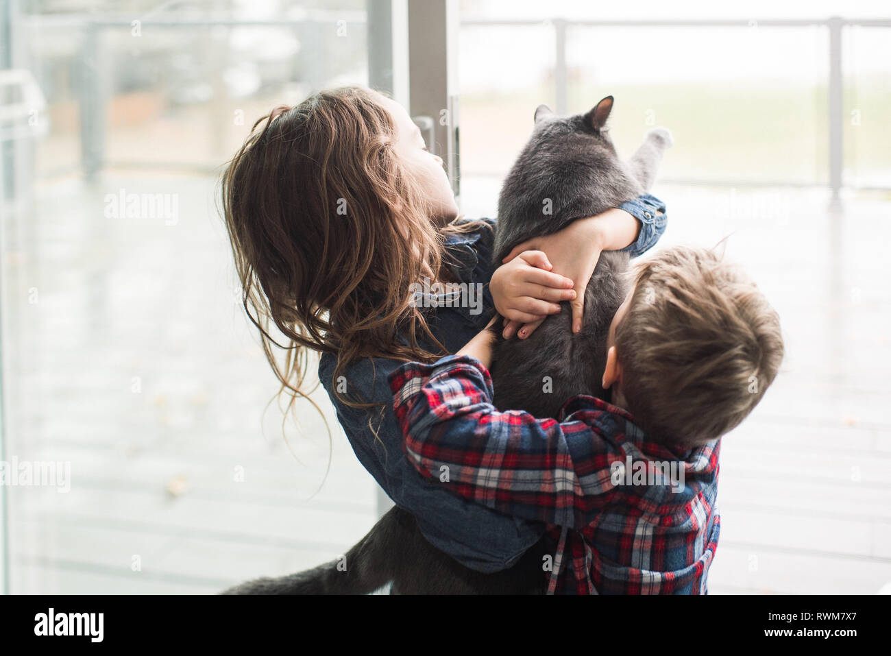 Children playing with cat at home Stock Photo