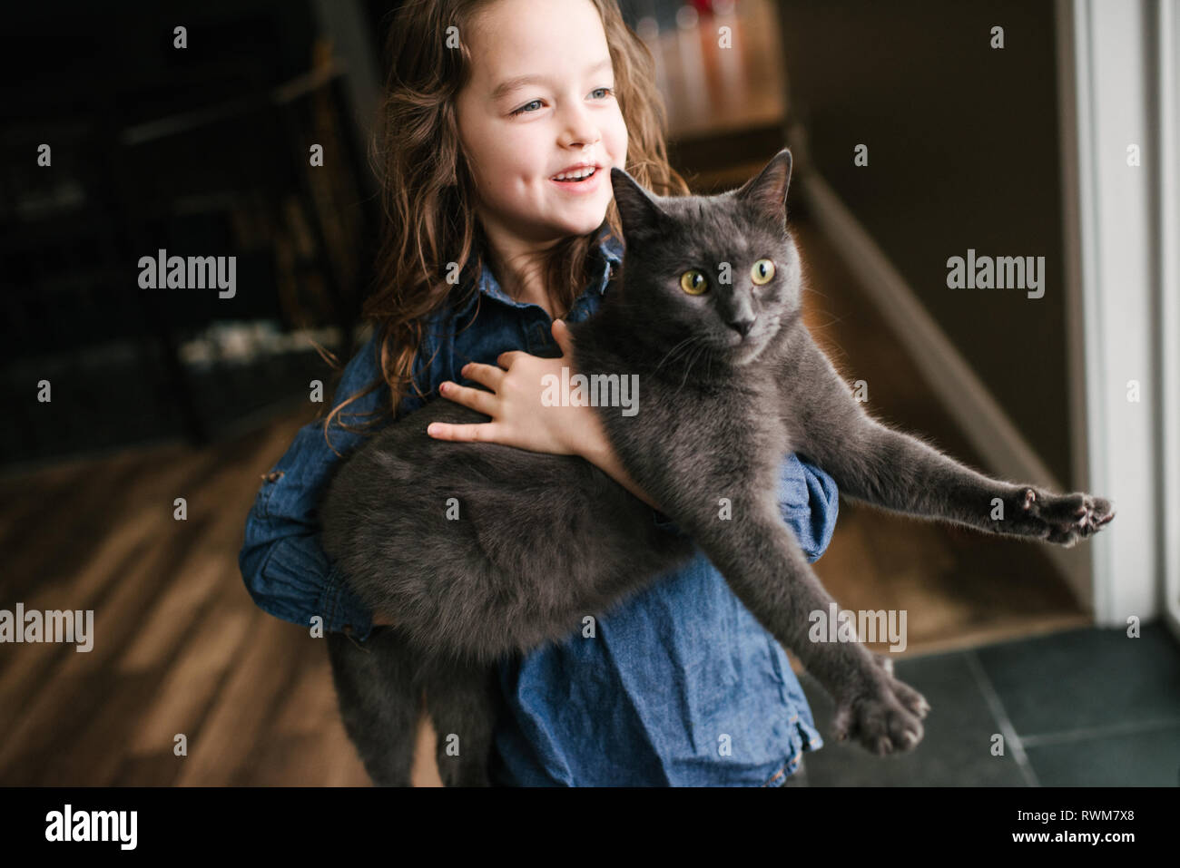 Little girl playing with cat at home Stock Photo