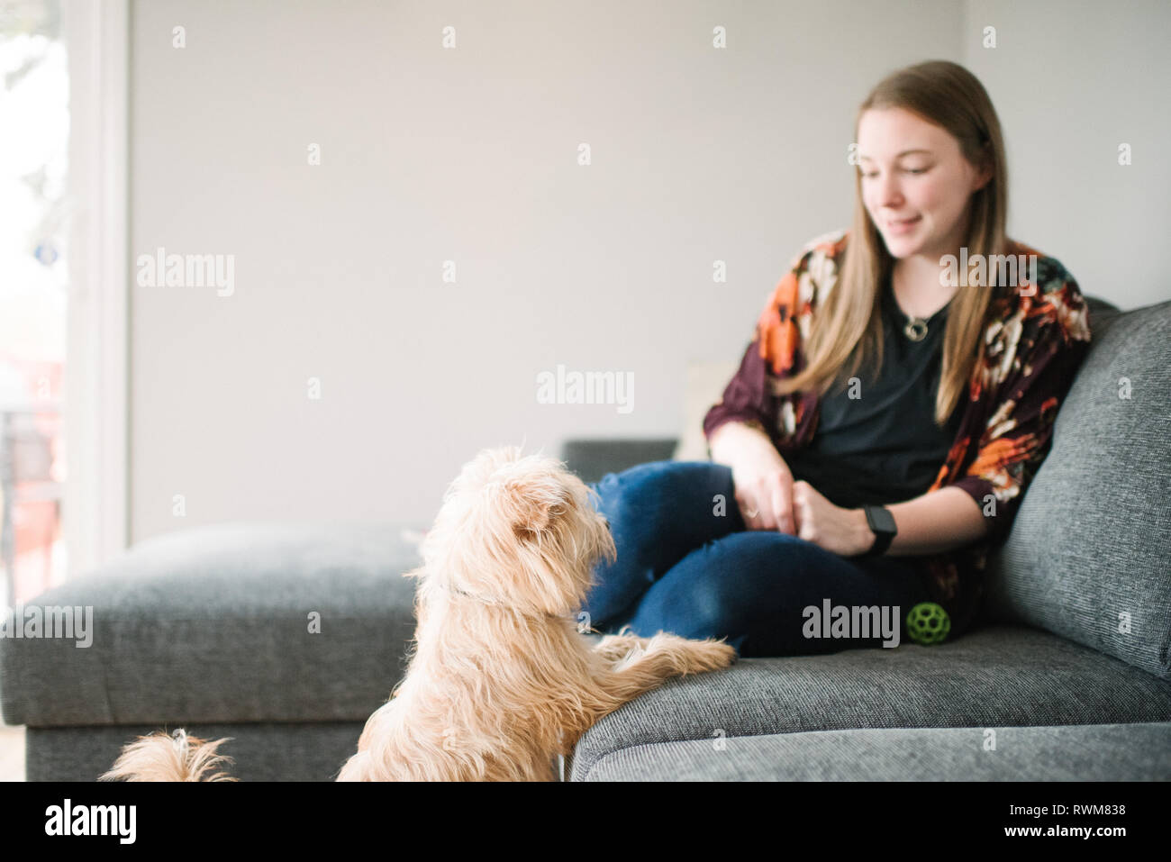 Woman watching dog from sofa Stock Photo