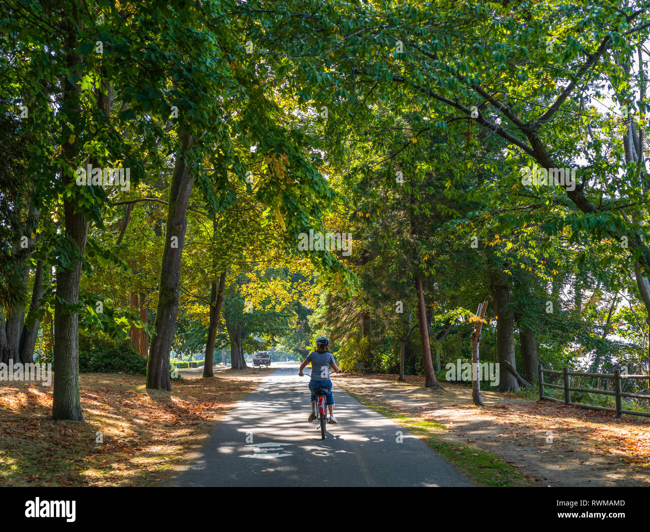 Stanley park bike trails sales