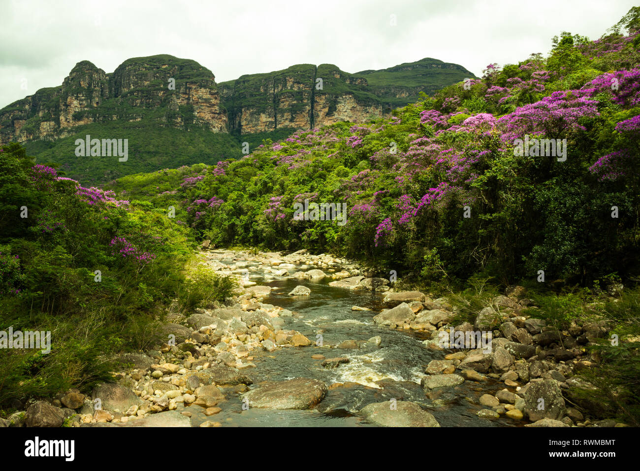 Chapada Diamantina - Beautiful River on Pati Valley Stock Photo
