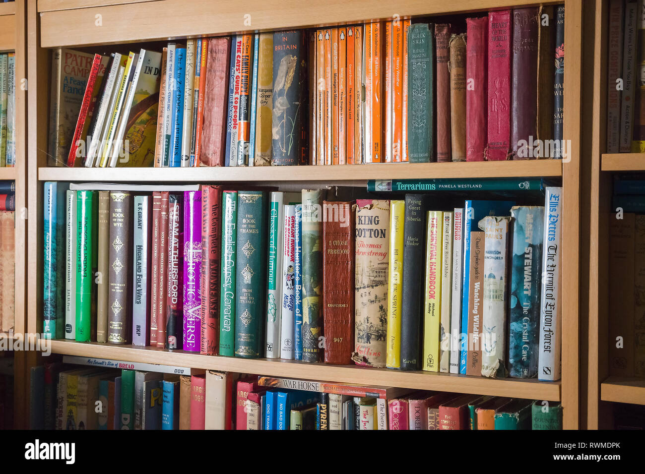 Open-fronted bookcase filled with a mixture of old hardback and soft-back books, both fiction and non-fiction genres Stock Photo