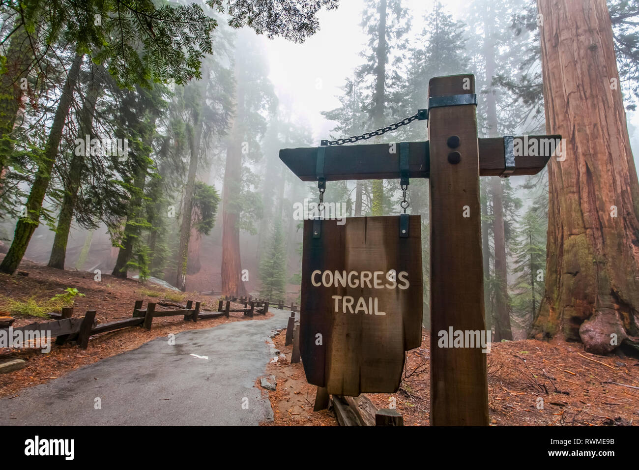 Congress Trail toward General Sherman, Sequoia National Park; Visalia, California, United States of America Stock Photo