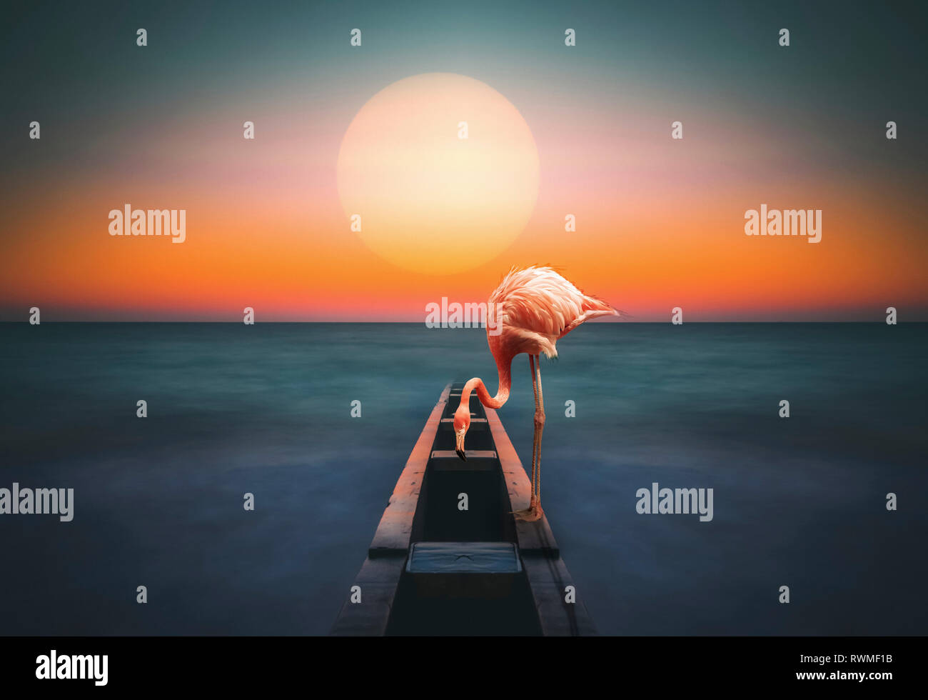 A flamingo stands on a structure leading out to the water with a glowing sun over the horizon, composite image Stock Photo