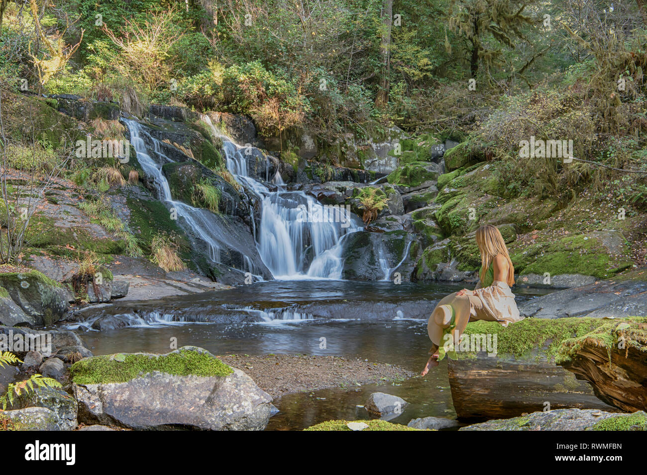 Beaver Creek Falls, where Sweet Creek meets Beaver Creek; Mapleton, Oregon, United States of