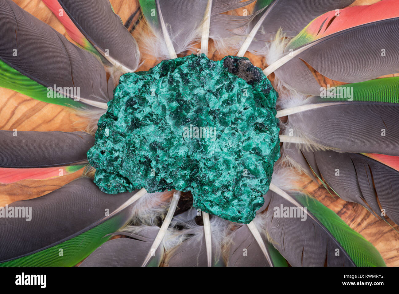 Dark green fibrous Malachite cluster from Shaba Province, Zaire, in the middle of a circle made of colorful parrot feathers. Stock Photo