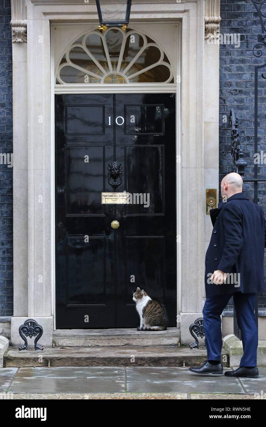 Larry, the 10 Downing Street cat and Chief Mouser to the Office