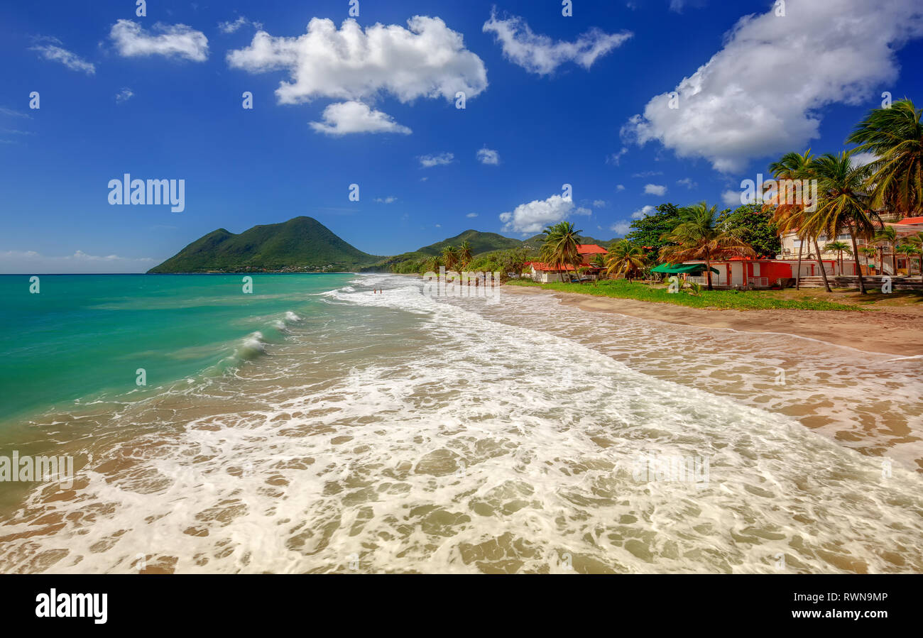 Amazing sandy beach with coconut palm tree and blue sky, Martinique, Caribbean. Le Diamant Beach. Stock Photo