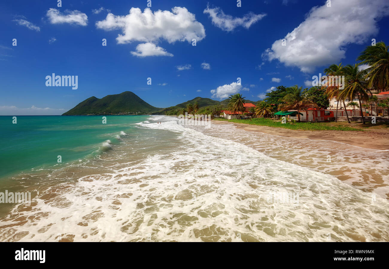 Amazing sandy beach with coconut palm tree and blue sky, Martinique, Caribbean. Le Diamant Beach. Stock Photo