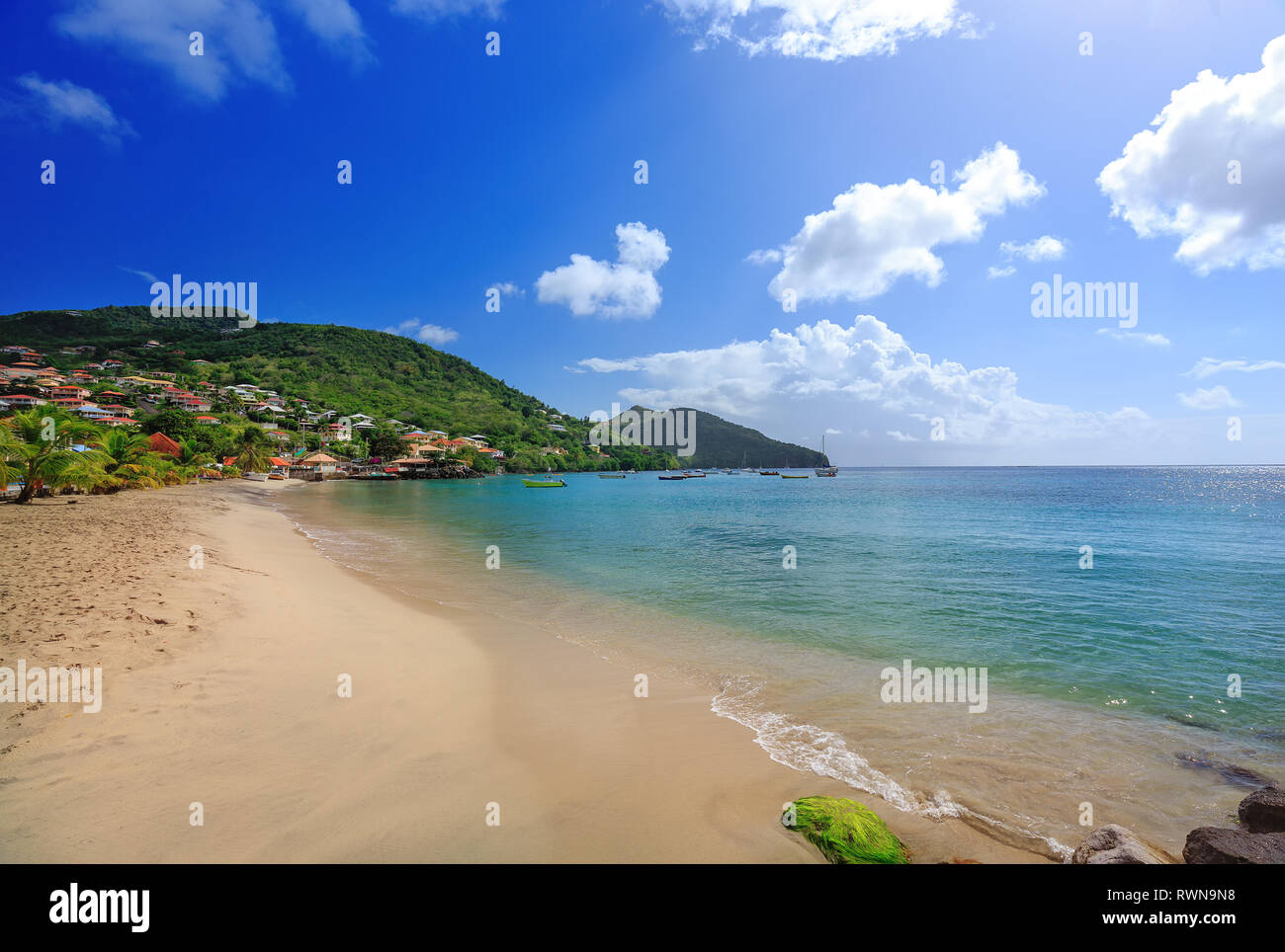 Beautiful Le Diamant beach and village, Martinique, Caribbeans. Caribbean Martinique beach coconut Stock Photo
