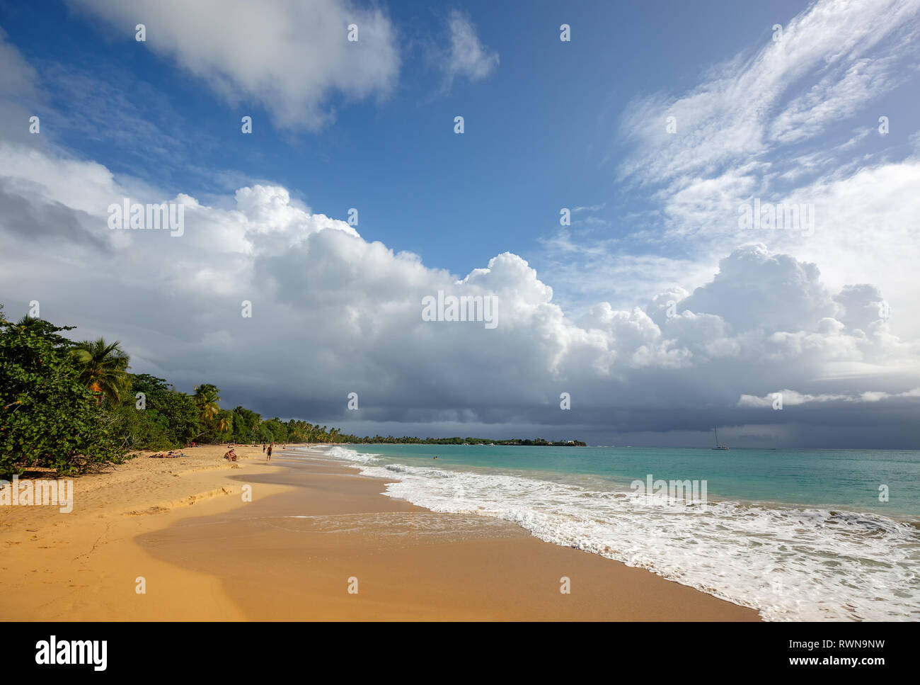 Beautiful beach in Martinique, Caribbeans. Caribbean Martinique. les salines beach Stock Photo