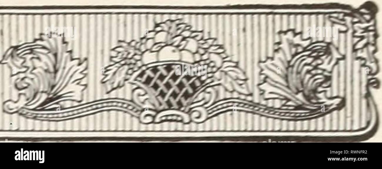 Ellwanger & Barry Mt Hope Ellwanger & Barry Mt Hope Nurseries 1916 ellwangerbarrymt1916moun Year: 1916  ^ggg^?:^i^g^^ '#Xl 5^P- i^  AMOUNT HOP& NURSERIES 1    HEDGE PLANTS Which may be employed for Ornament, Shelter, Screens and Defense For these purposes we recommend Evergreens like the Amencan and Siberian Arbor Viiae, Norway Spruce, AvMrian, White and Scotch Pines, Hemlocks, and many of the Deciduous and Evergreen shrubs, such as the Privet, the California, Ihota, English and Regeliannm, Berheris Thunhergii, Rosa Rugosa, SpircBos, etc., and for defensive hedges, the American Thorn, Honey L Stock Photo