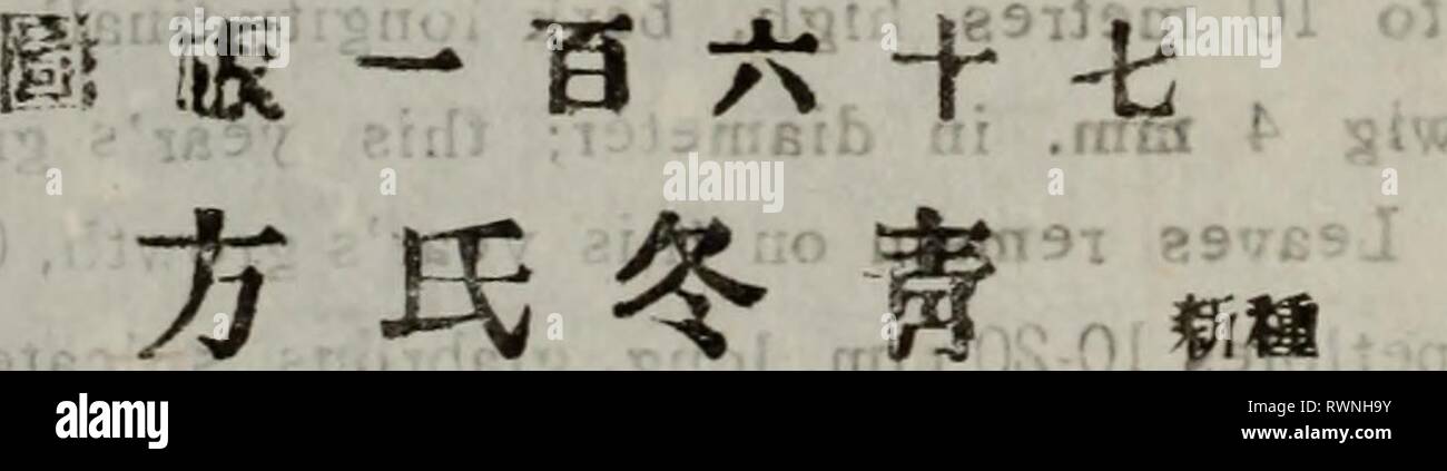 Ae Ao High Resolution Stock Photography And Images Alamy