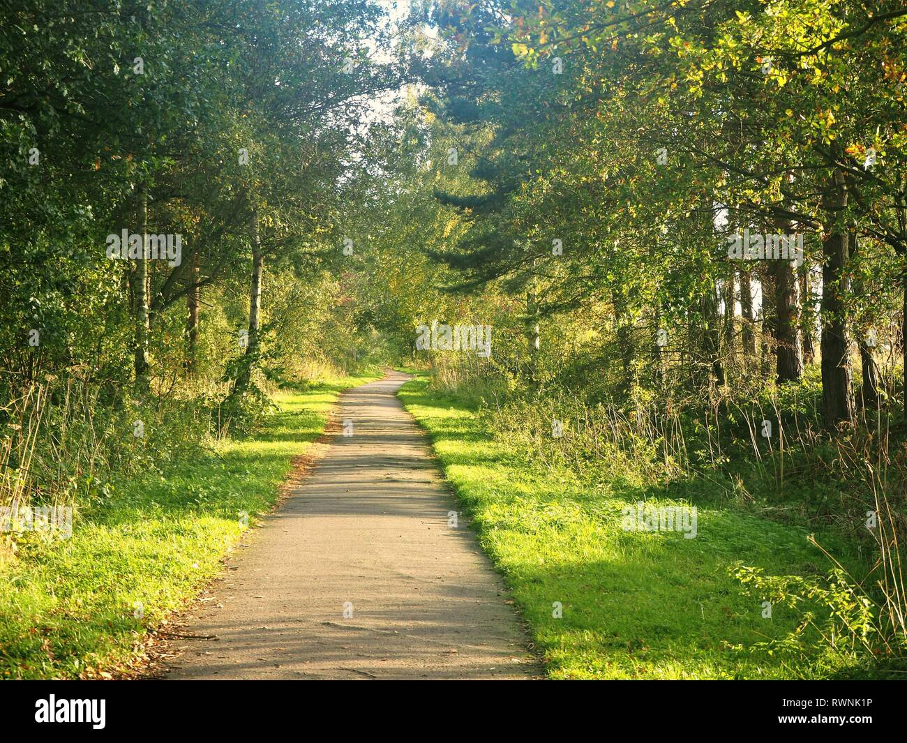 Trans Pennine Trail between York and Selby in dappled summer sunlight, North Yorkshire, England Stock Photo