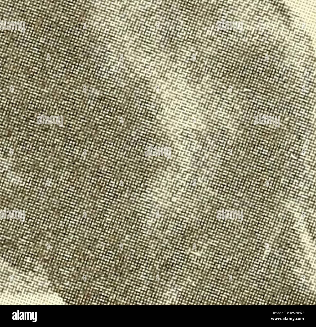 Elements of hippology (1914) Elements of hippology