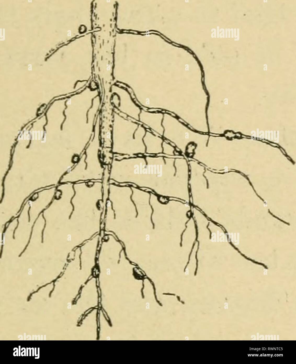Elements of agriculture, for use Elements of agriculture, for use in ...