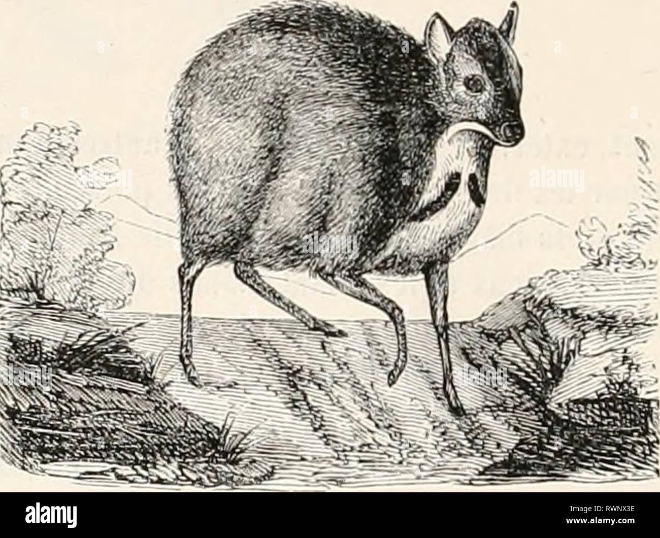 Blar High Resolution Stock Photography And Images Alamy