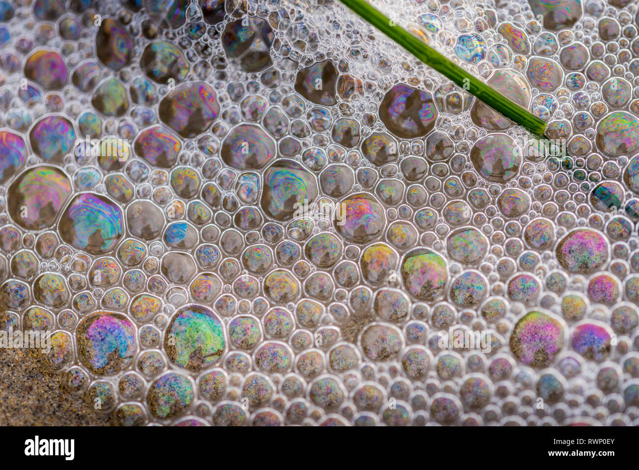 Bubbles wash across the sand at Indian Beach in Ecola State Park on the
