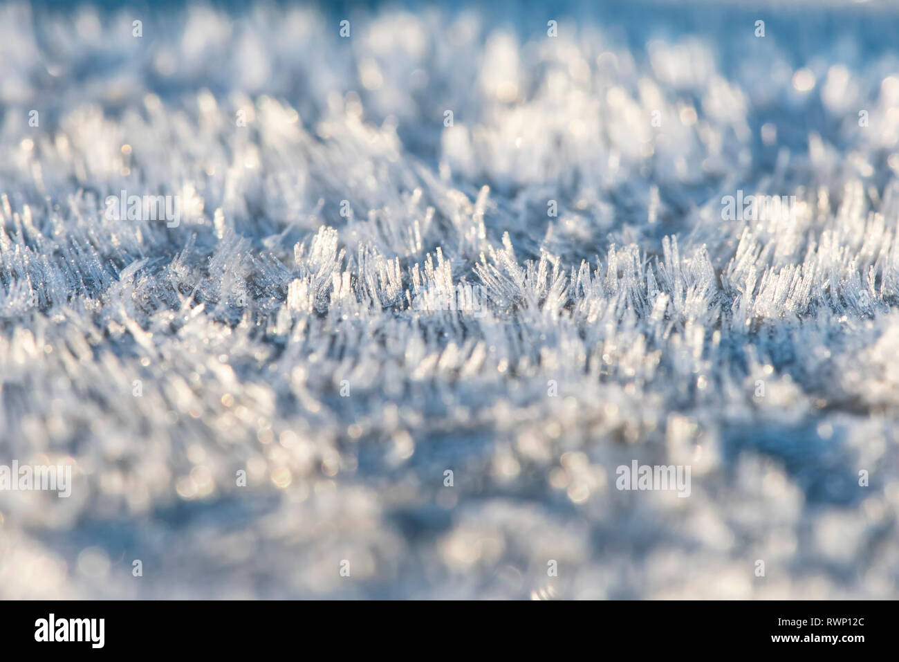 Rime Patterns White rime hi-res stock photography and images - Alamy