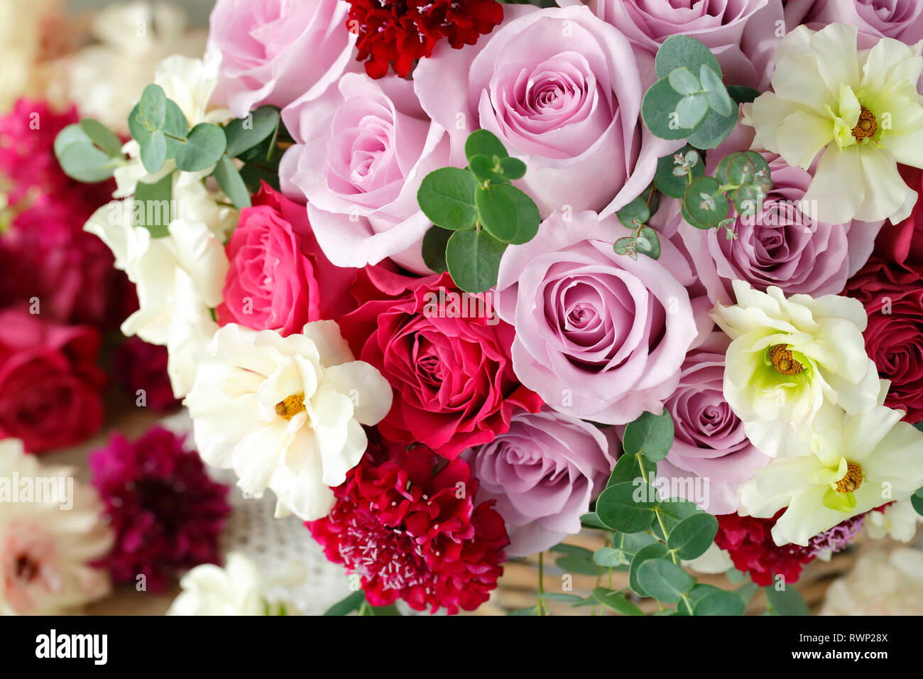 Multiple flower types hires stock photography and images Alamy