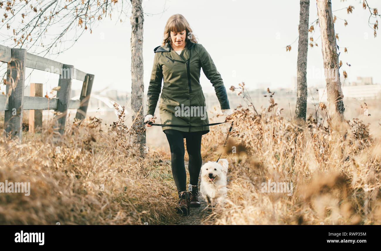 Woman walking her dog; Edmonton, Alberta, Canada Stock Photo Alamy