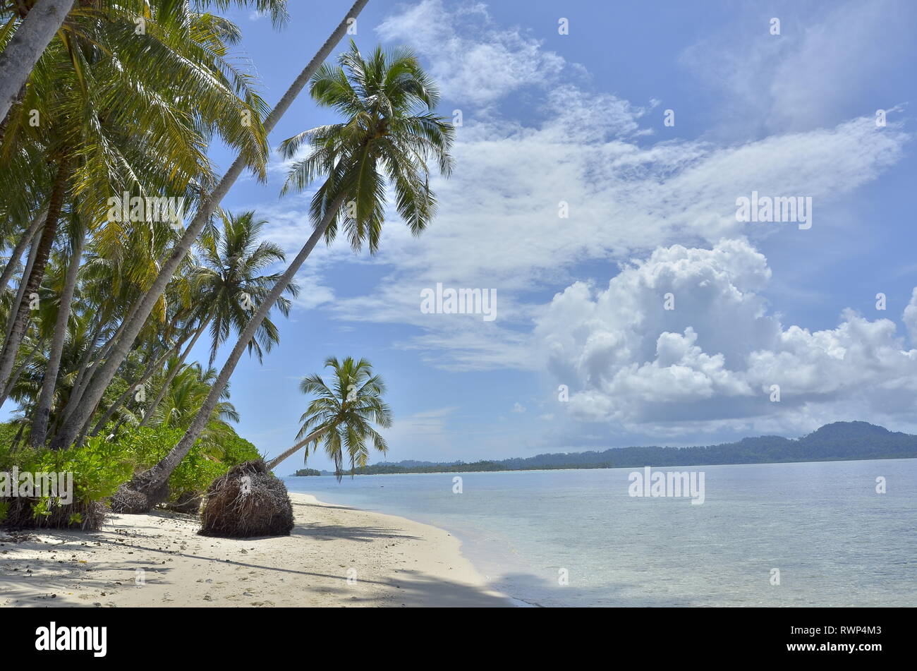 the paradise island Stock Photo