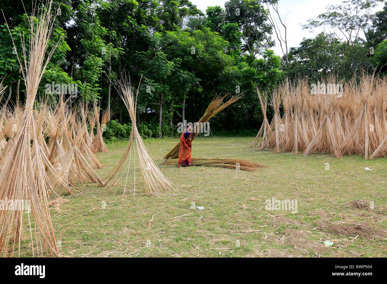 Jute bangladesh hi-res stock photography and images - Alamy