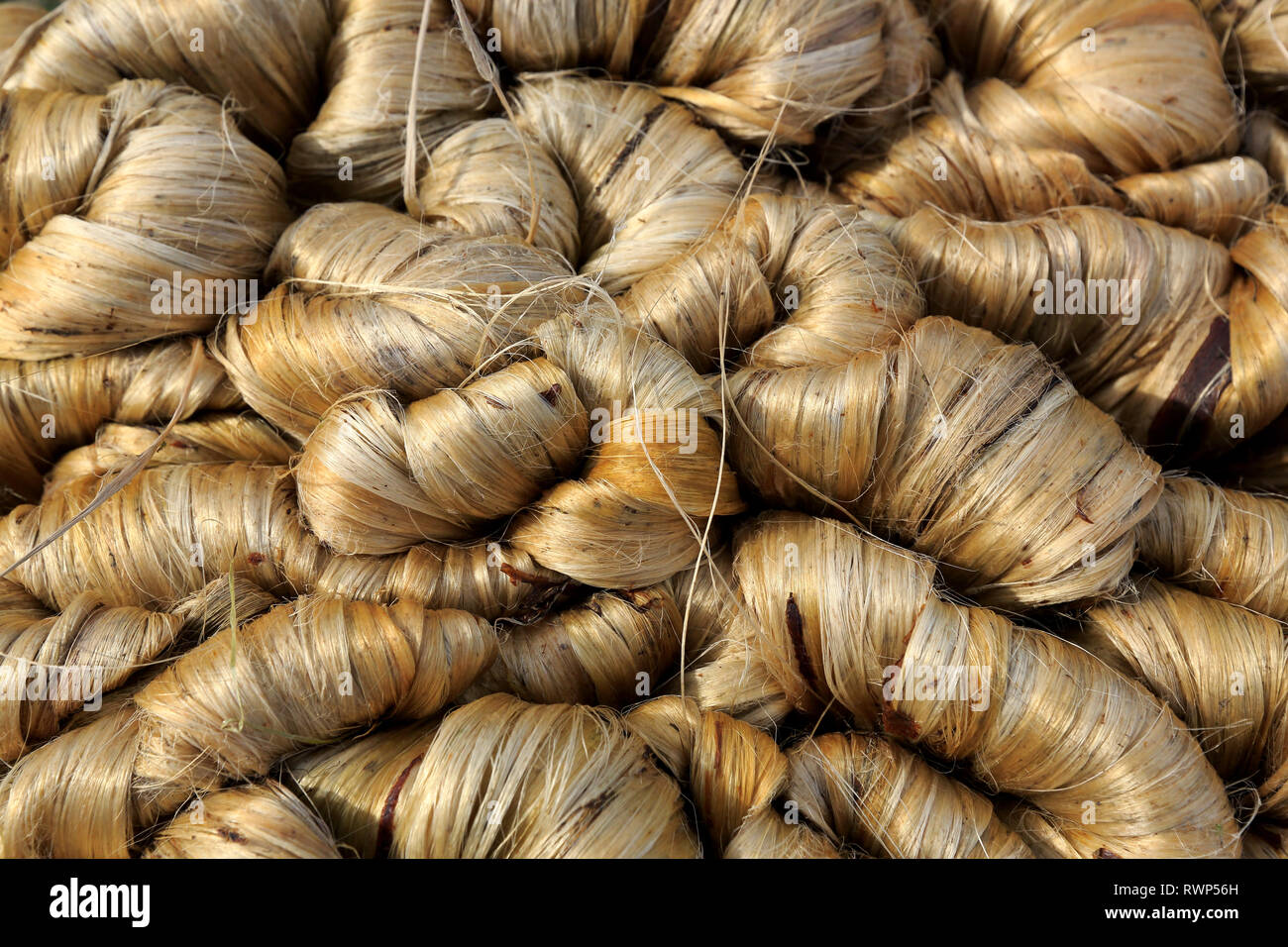 Bundle of jute fibres. Faridpur, Bangladesh Stock Photo Alamy