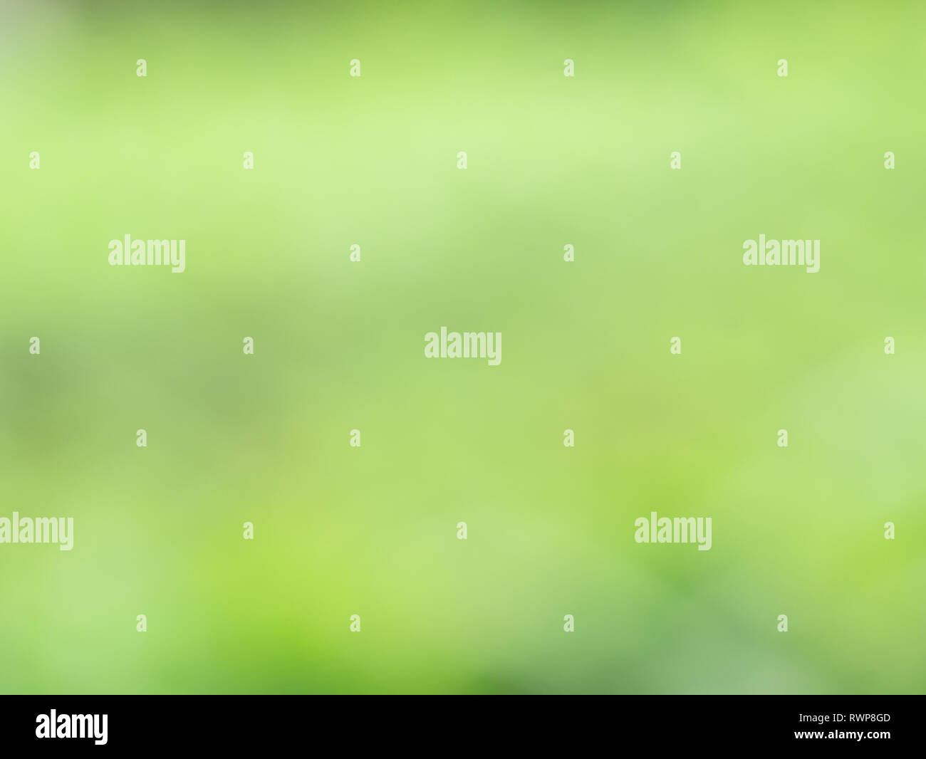Abstract background blurred circular green hi-res stock photography and ...