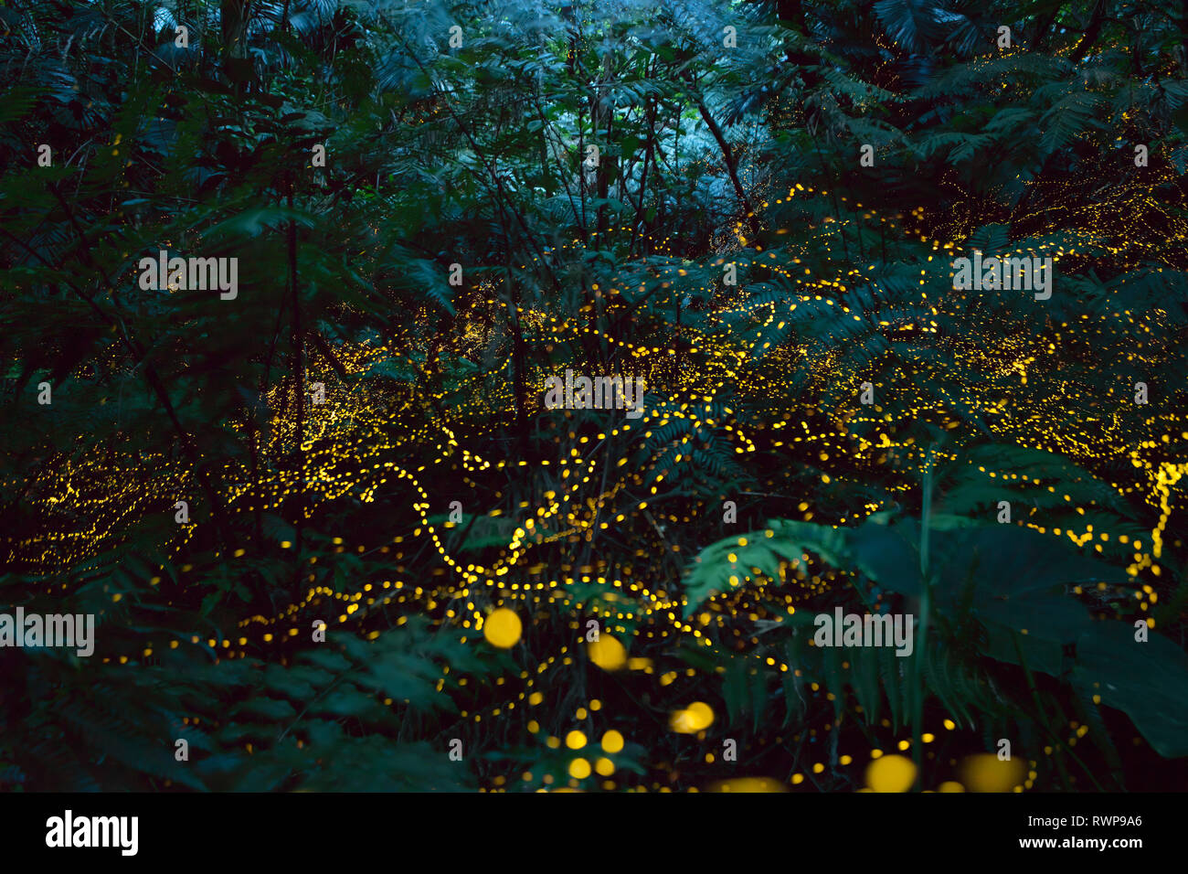 Okinawa, Japan Stock Photo - Alamy