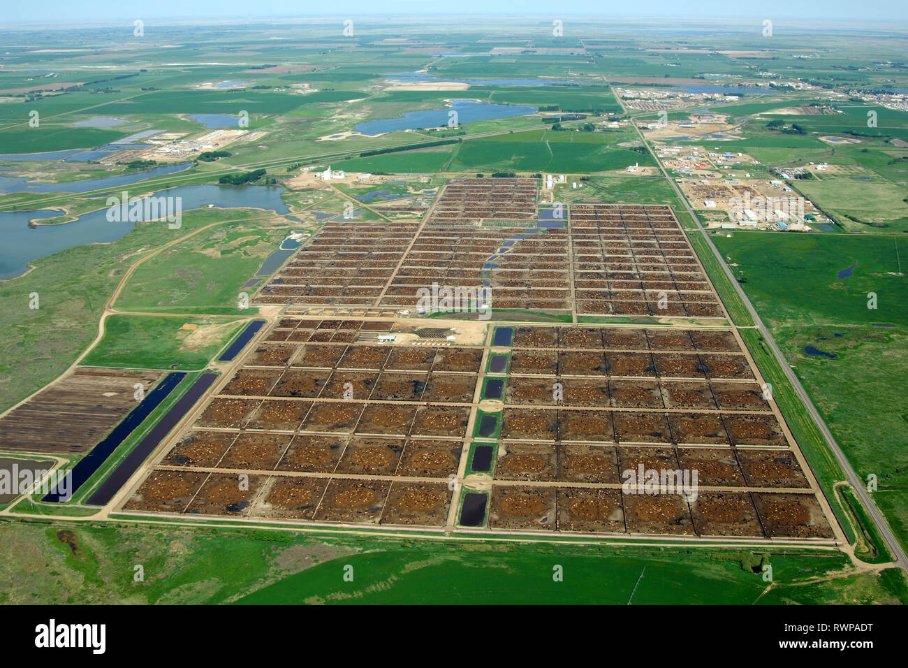 aerial, Lakeside Feeders feed lot Brooks, Alberta Stock Photo