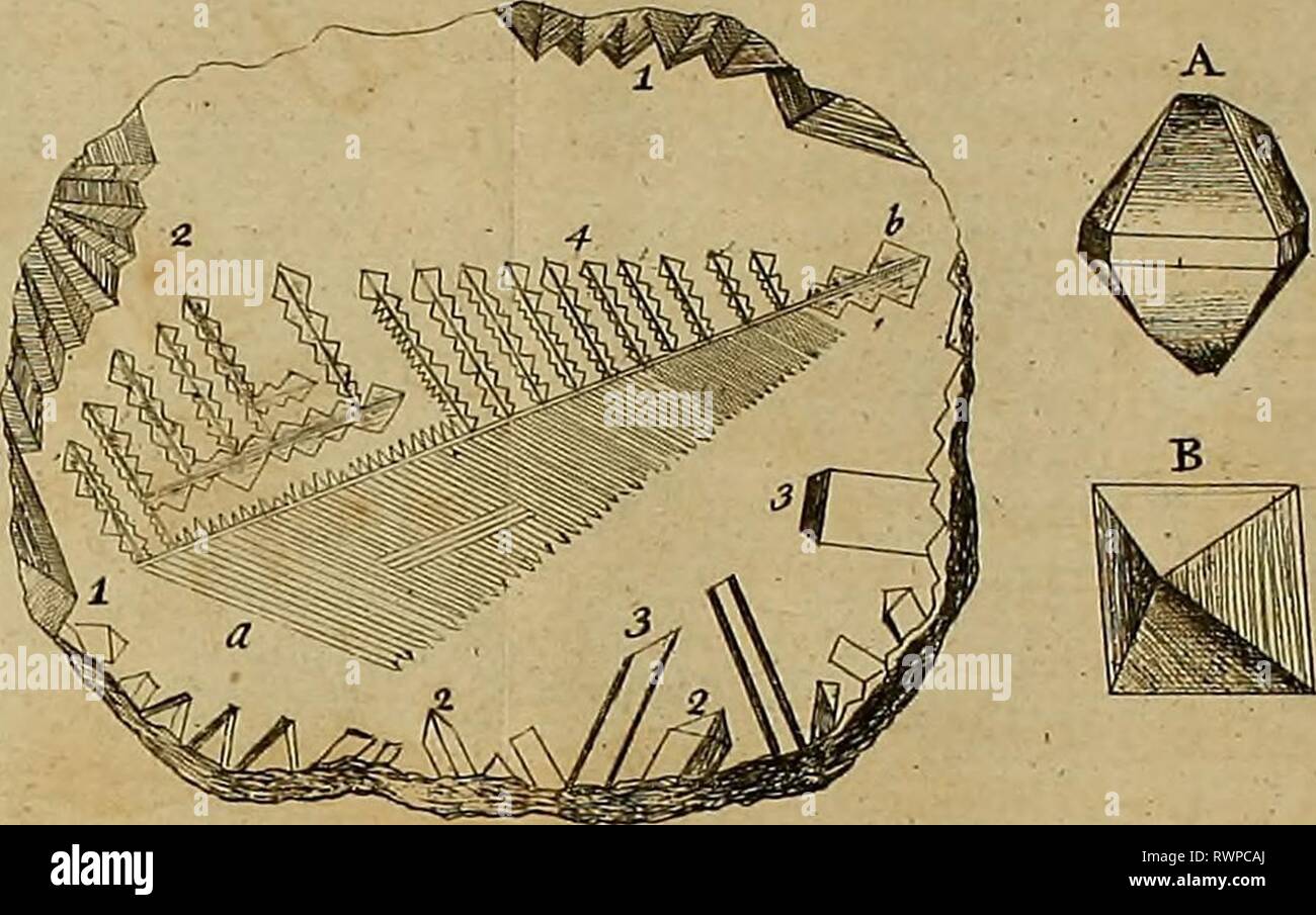 Employment for the microscope Stock Photo Alamy