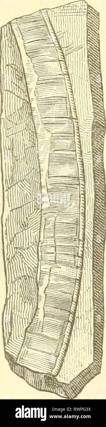 Missouri Republican Saint Louis Mo 1870 11 20 St Louis