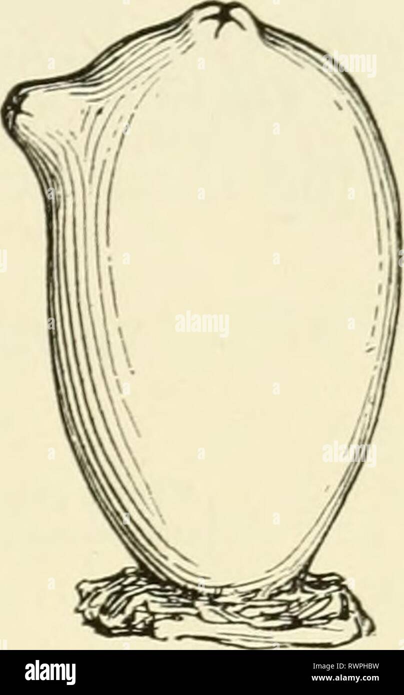 Elements of biology, with special Elements of biology, with special ...