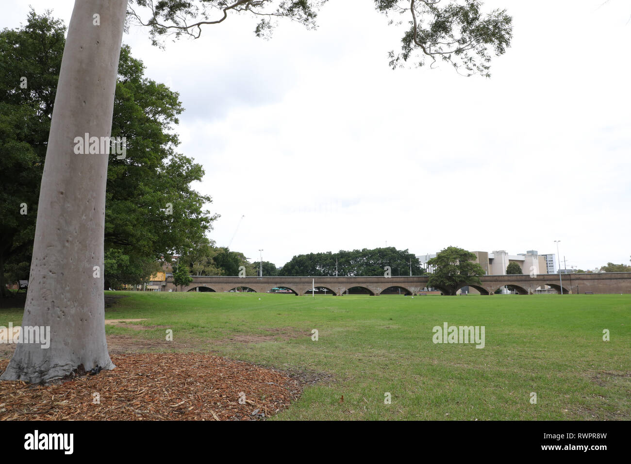 Wentworth Park, Glebe, Sydney, Australia Stock Photo Alamy