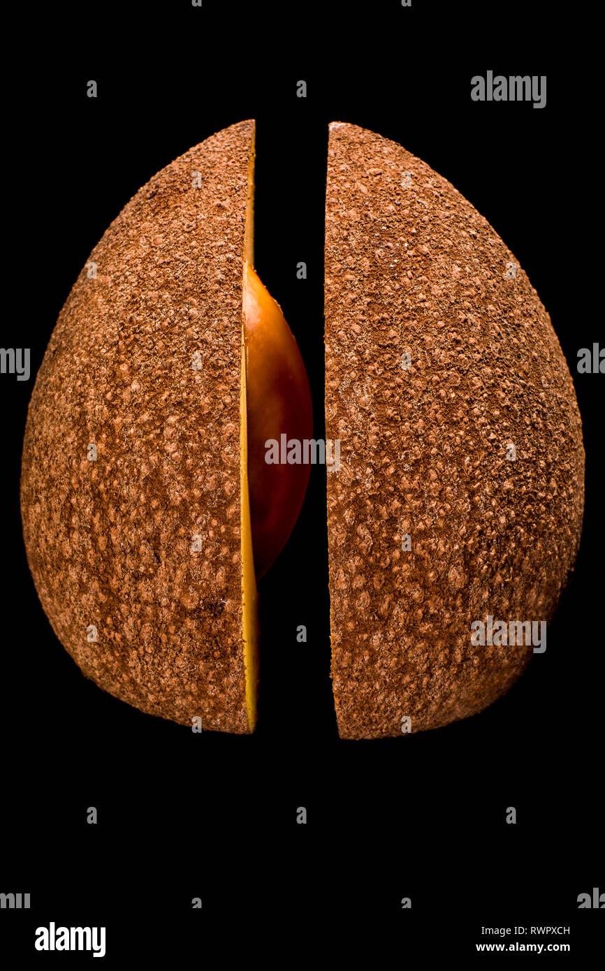 half mamey sapote with exposed seed Stock Photo