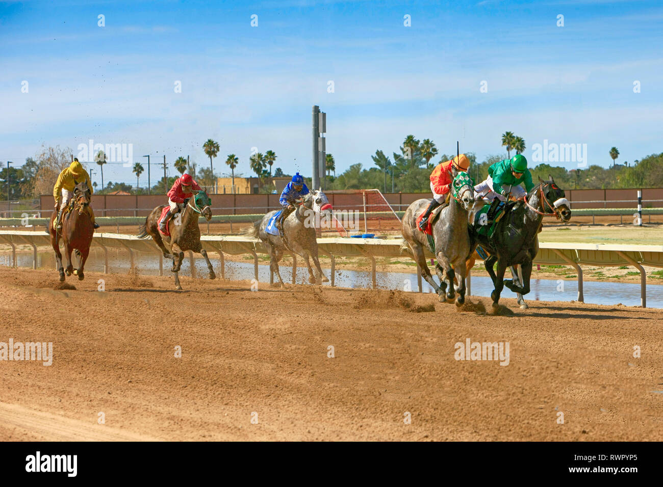 Horse racing at the Rillito Park race track in Tucson AZ Stock Photo