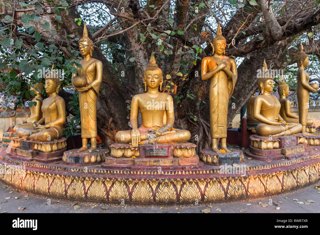 Buddha statues Wat Pha That Luang Vientiane Laos Stock Photo