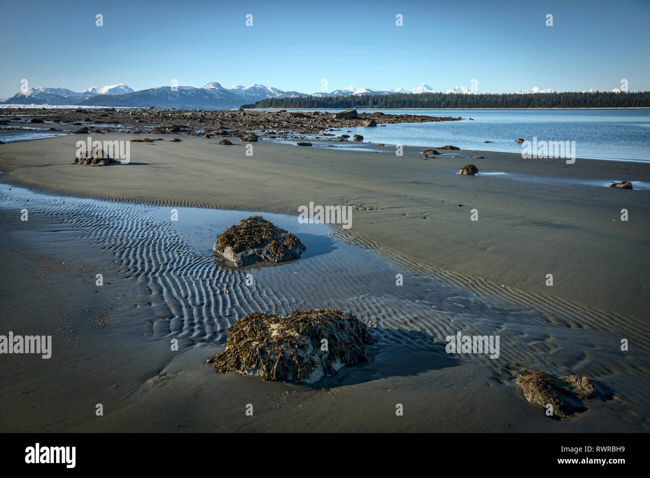 Beach near Bartlett Cove in Glacier Bay National Park at low tide. Stock Photo