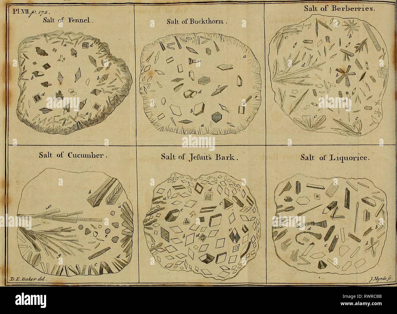 Employment for the microscope Stock Photo Alamy
