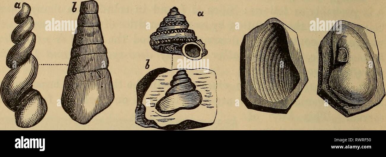 Elements of geology a Stock Photo Alamy