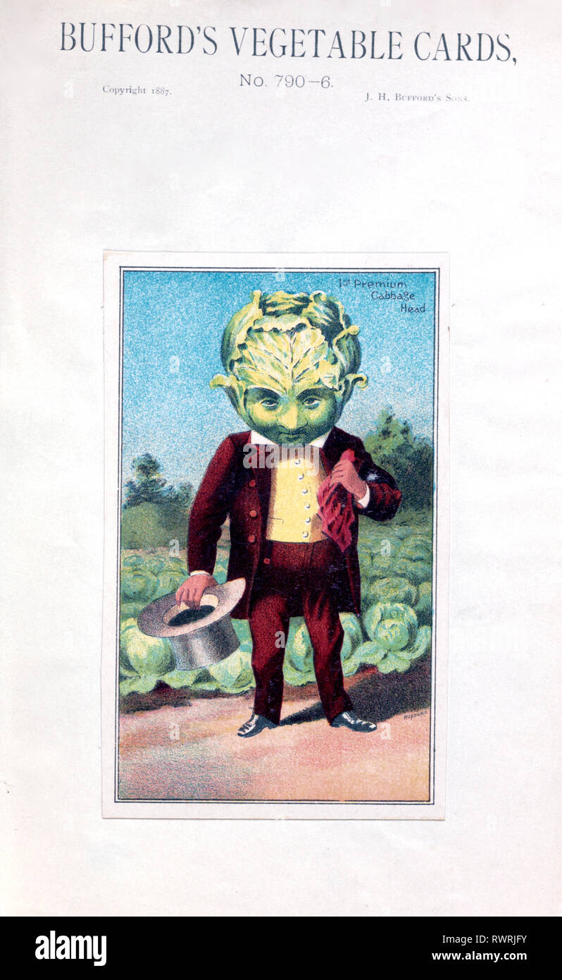 Print shows a well-dressed man with a large cabbage head, standing, holding top hat in right hand, facing front, with cabbage plants growing in the background. Stock Photo