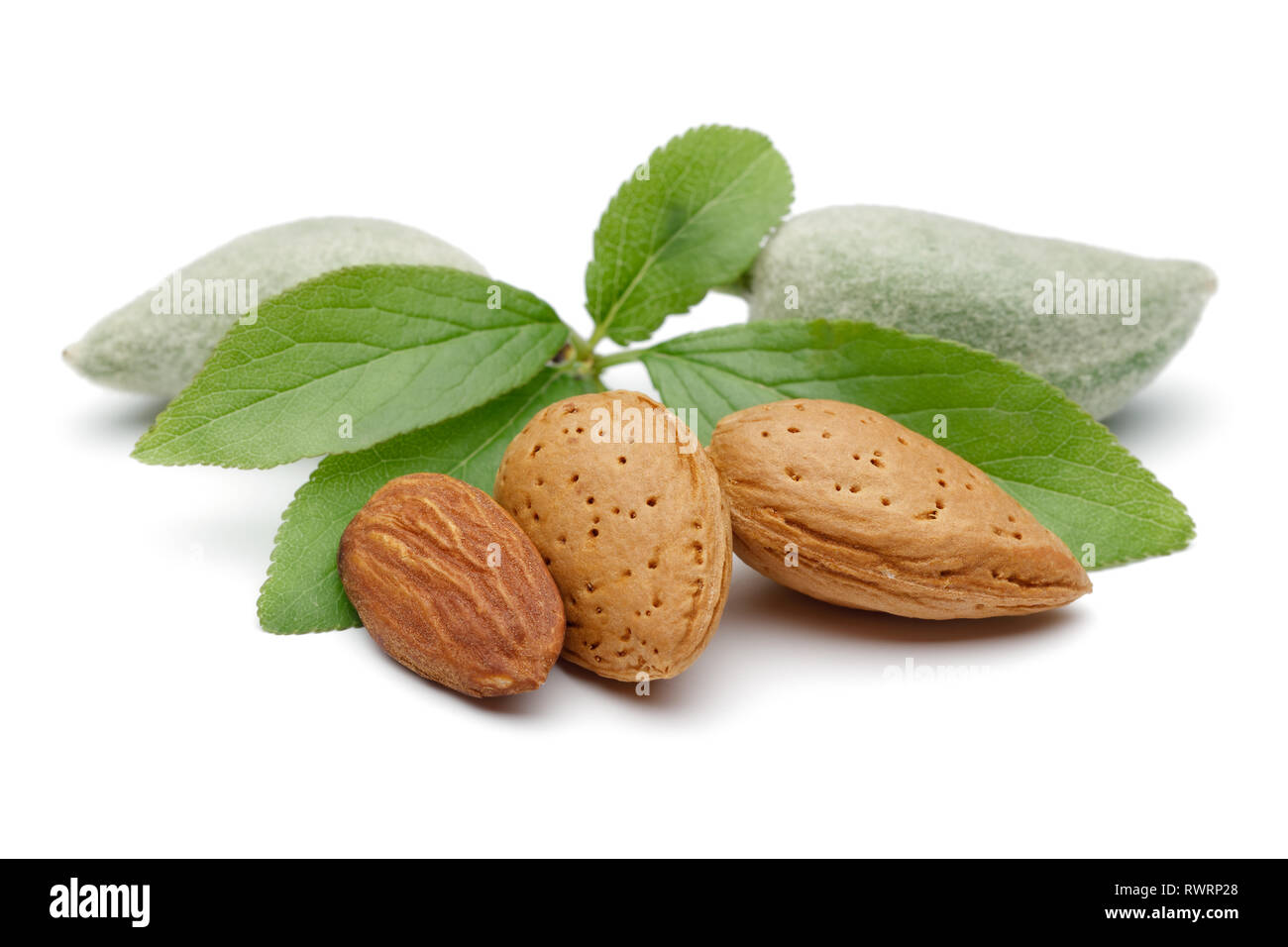 Fresh almonds with leaves isolated on white background Stock Photo