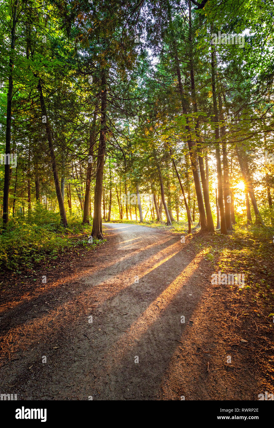 Sunset with sunbeams through the trees on a forest path in Peninsula State Park, Door County, Wisconsin, USA Stock Photo