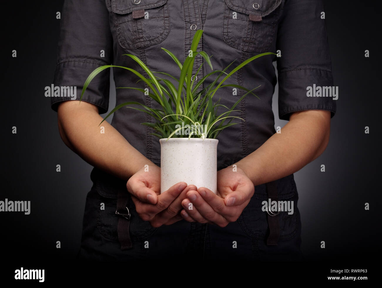 Save the Environment Concept. Young woman holds a small plant protectively Stock Photo
